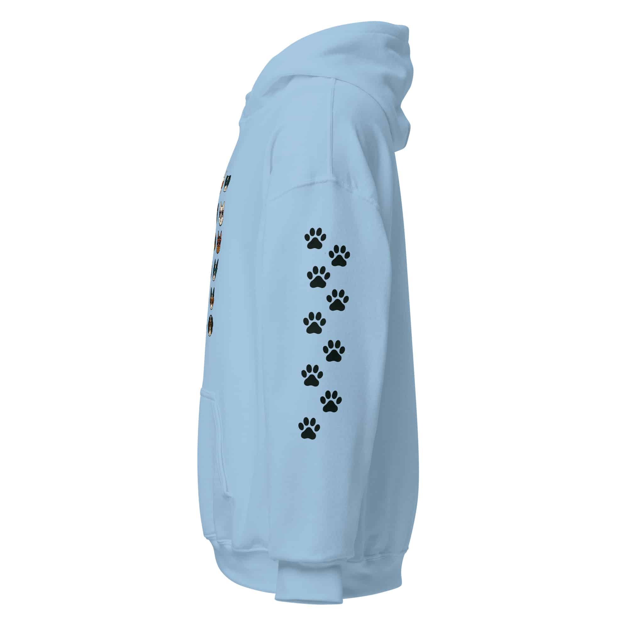 unisex-heavy-blend-hoodie-light-blue-left-68f6417143e43.jpg
